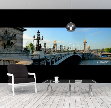 Picture of Paris Alexandre III panorama